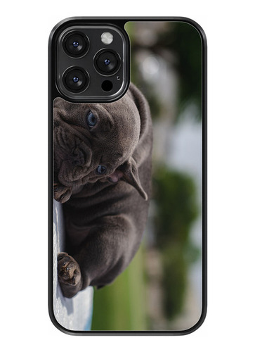 Funda Diseño Para Samsung Perros Pequeños #3