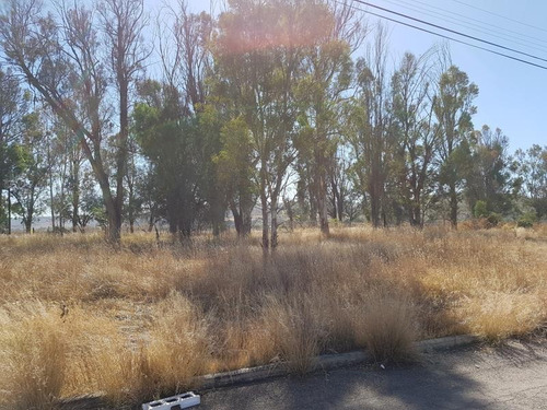 Imagen 9 de 12 de Terreno En Venta Frac. Campestre Martinica