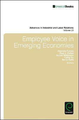 Libro Employee Voice In Emerging Economies - David Lewin