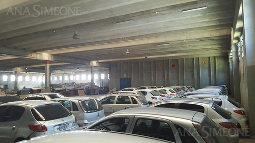 Imagen 11 de 25 de Excepcional Nave Industrial A Mts. De Panamericana