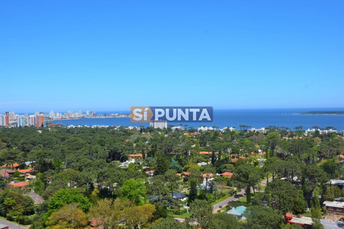 Imagen 2 de 30 de Pent House , 3 Dormitorios A Nuevo ! Con Servicios!