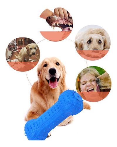 Suministros De Adiestramiento De Perros De Juguete, 5 Piezas