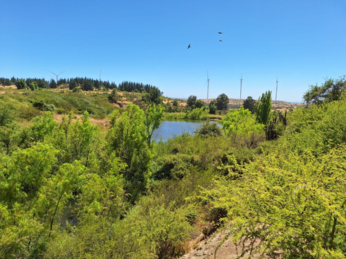 Se Vende Campo En Litueche Con 5 Tranques Y 2 Vertientes