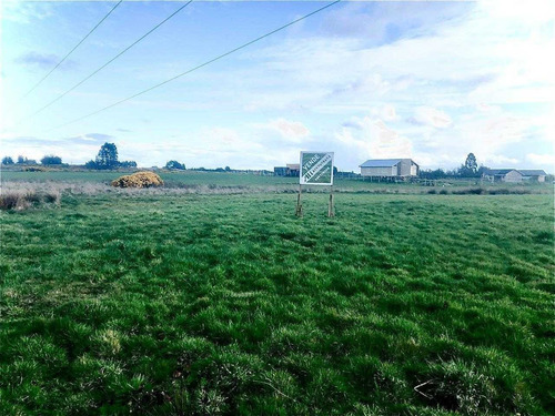 Sitio Comercial Puerto Varas -