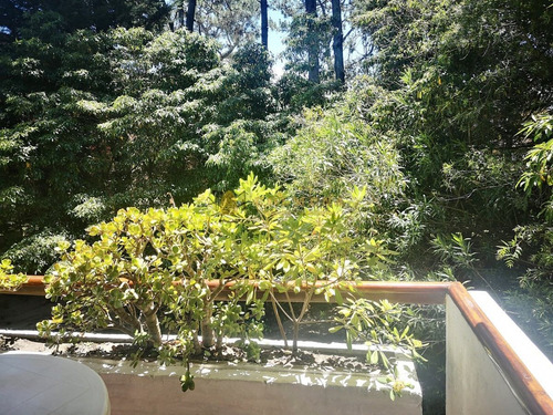 Apartamento En Venta Punta Del Este, Aidy Grill, Con Muy Lindo Entorno, Terraza Y Cochera, 2 Dormitorios, Bajas Expensas- Ref: 4216