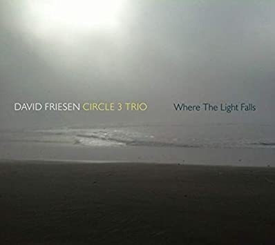 Friesen David & Circle 3 Trio Where The Light Falls Cd X 2