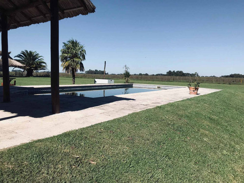 Imagen 14 de 17 de Campo 33 Has. Chacra. Excelente Chalet. Casa Quinta. Riestra. Roque Perez