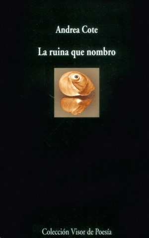 Libro La Ruina Que Nombro