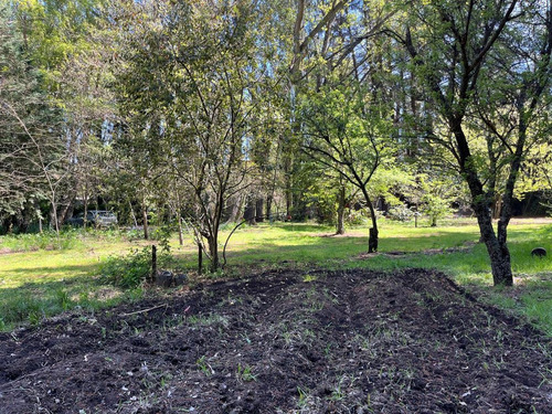 Parcela Con Casona A 20 Min Los Angeles Con Rio Bosques