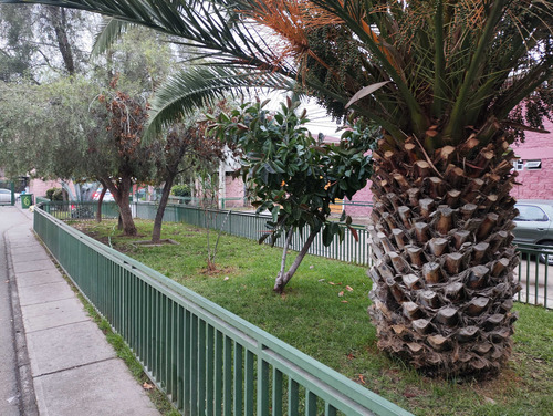 5 Dormitorios / 3 Baños (98369)