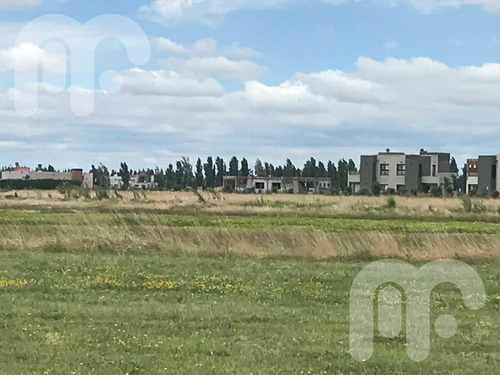 Imagen 5 de 10 de Venta Terreno - La Faustina