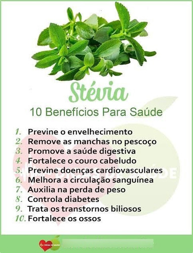Adoçante Dul-c Boliviano, Adoçante De Stevia Puro. 2 Uni.