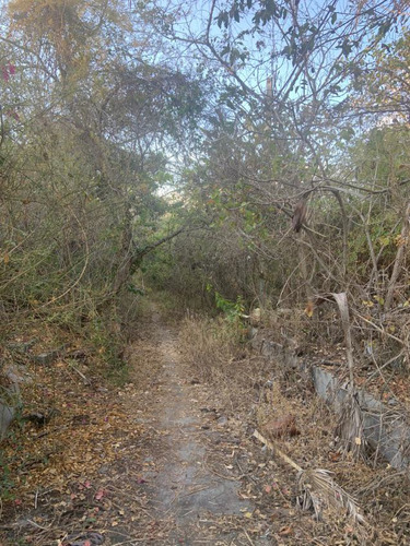 Terreno Campestre En Chiconcuac, Xochitepec, Morelos - Task-30-tca