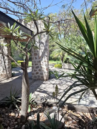 Casa En Venta En Jurica En Esquina! Una Sila Planta