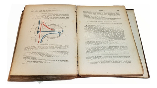 Antiguo Libro De Anatomía Humana Testut-latarjet Tomo 2 (Usado)