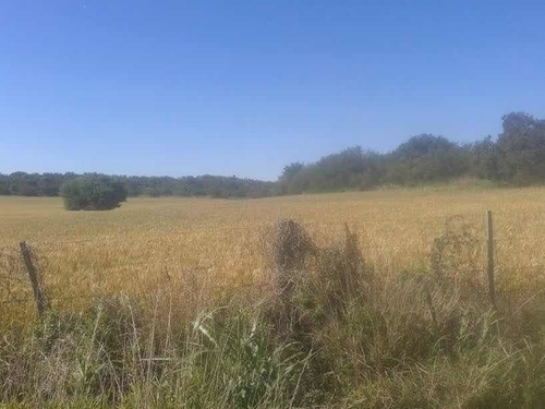 Campo 30 Hectareas - Miramar - Paraje Santa Irene