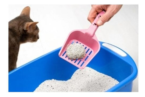 Bandeja Sanitaria Gatos 41cmx30cmx10cm+piedra+pala+juguete Verde