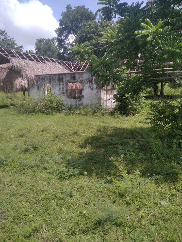 Imagen 12 de 17 de Venta 199 Hectáreas - Para Cultivo Y Ganado