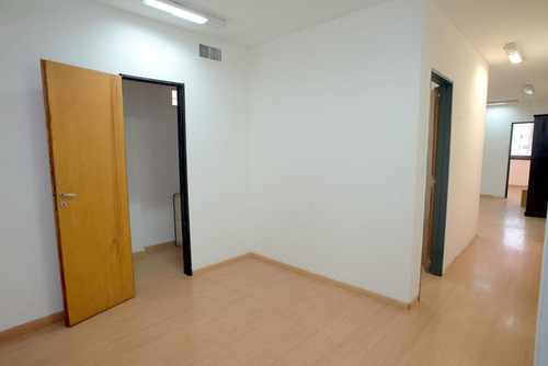 Imagen 4 de 29 de Moderna Y Luminosa Oficina, Amplia, Con Varios Despachas