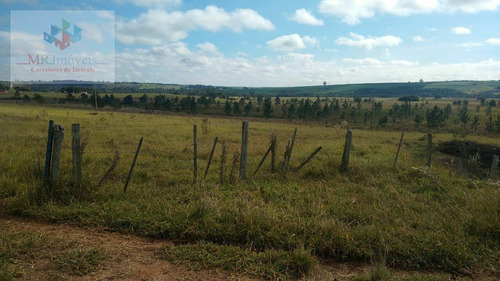 Sítio À Venda Região De Itapetininga Sp - 419