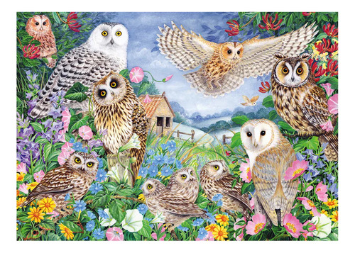 Puzzle Falcon Owls In The Wood 1000pz. 11286 Milouhobbies