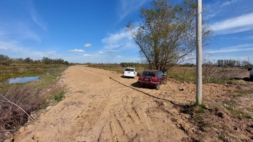 Imagen 3 de 6 de 2 Hectareas En Venta Frente A Arroyo Baltazar, Villa Paranacito