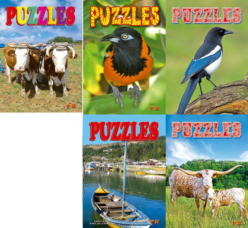 Puzzles Pack 5 Revistas