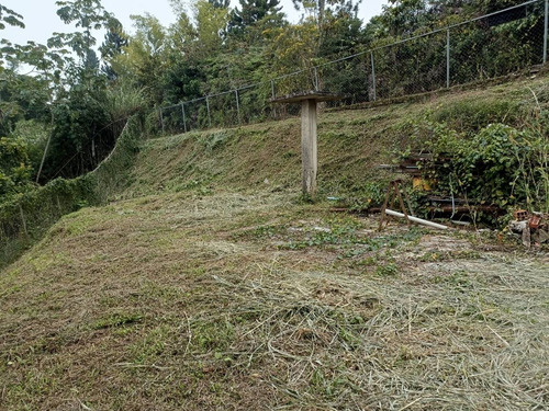 Imagen 10 de 16 de Terrenos En Venta
