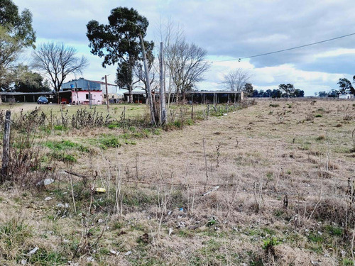Imagen 23 de 24 de Venta De Campo De 2 Hectáreas En Guernica