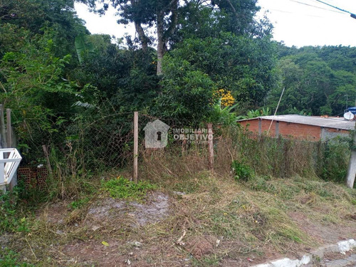 Imagem 1 de 2 de Terreno, Jardim Monte Verde (caucaia Do Alto), Cotia - R$ 90 Mil, Cod: 4091 - V4091
