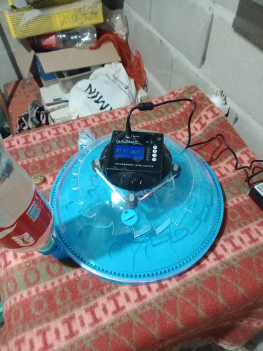 2962820292