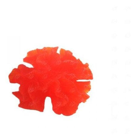 Imagem 2 de 3 de Forma De Silicone Coral Gg Ib-940/s-1198