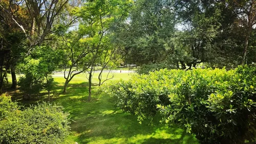 Casa En Renta/venta El Campestre Celaya