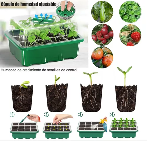 CHAROLAS Y SEMILLEROS - bases-termicas-para-germinacion-de-semillas -  bases-termicas-para-germinacion-de-semillas