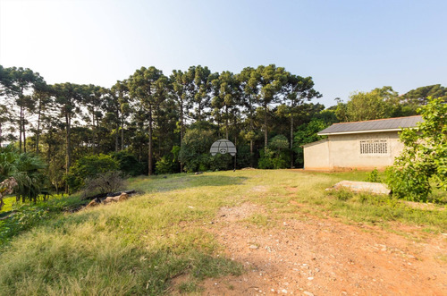 Imagem 2 de 21 de Terreno - Residencial - 930260