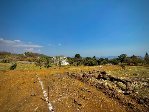 Terreno Rustico En Ocotepec