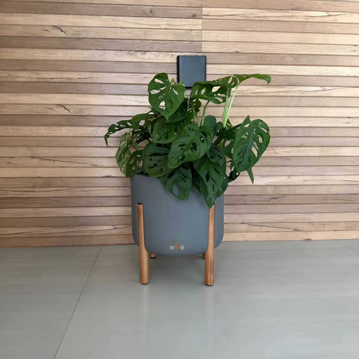 Vaso Cilíndrico Monaco P/ Plantas Decorativo Design Moderno Cor Cinza Chumbo Jateado
