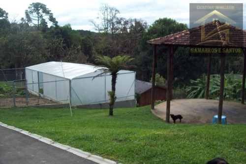 Imagem 12 de 30 de Linda Chácara Com 58,000m² E Estrutura Diferenciada Aceita Permuta - Ch00020 - 32470230