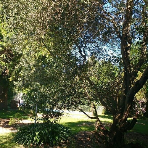 Imagen 2 de 4 de Lote En Tortuguitas