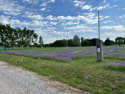 Lote Interno 600 M2 Lomas De Manzanares