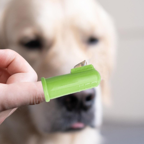 Cepillo De Dientes Para Perros Cepillo De Dientes Para Perro