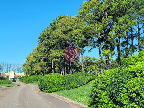 Terreno Lote En Venta En Pinares Cc, Exaltación De La Cruz, G.b.a. Zona Norte