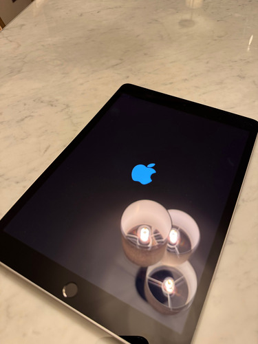 Apple Ipad (9a Generación) 10.2 Wi-fi 64gb - Color Plata Plateado (Usado)