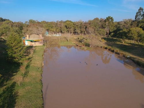 Imagem 7 de 29 de Fazenda À Venda Na Francisco Schena, Roseira, Campina Grande Do Sul - Pr - Liv-17183