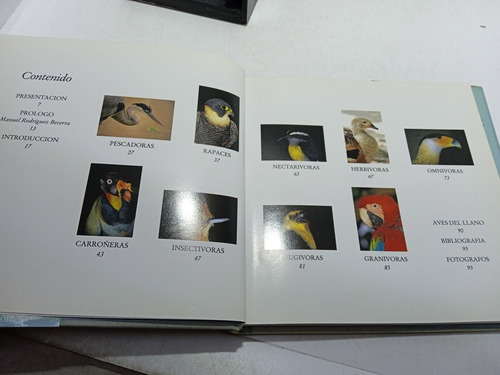 Imagen 3 de 5 de Aves Del Llano - Fauna Colombia - Ambiente Colombia