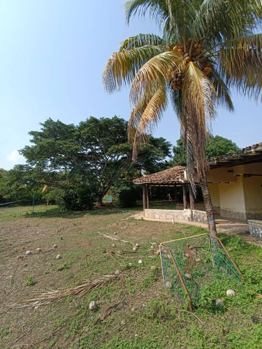 Sky Group Vision Vende Terreno Con Bienechuria Safari Carabobo Sector Casa Miel