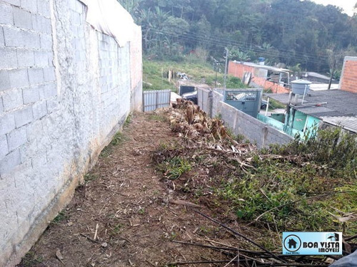 Imagem 5 de 5 de Terreno Em Rua - B0572-v