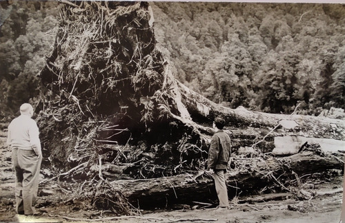 Antigua  Postal Coyhaique 1965 Foto Rubens (ff228