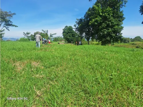 Venta Lotes En Quimbaya -quindío Colombia Cod: 7555717