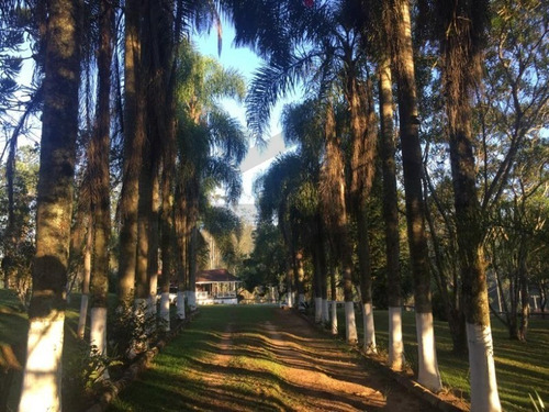 Imagem 13 de 30 de Linda Chácara Rica Em Água, Com Lago, Riacho E Nascente Própria. Propriedade Registrada. - 91 - 69900519